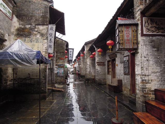 虎胆熊威3